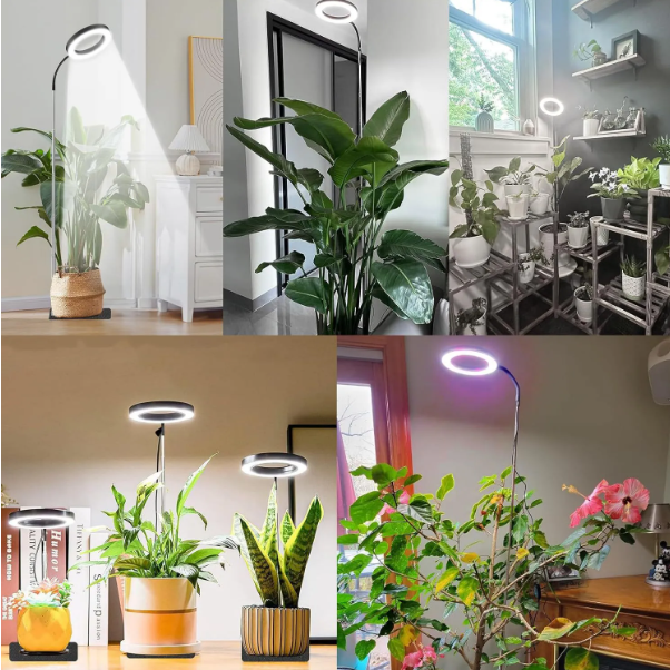 SproutBeam Plant Grow Lamp