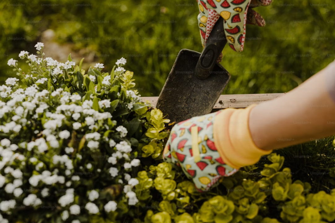 For garden