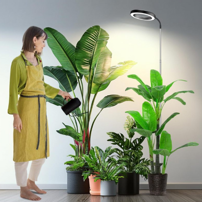 SproutBeam Plant Grow Lamp